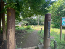 どんぐり山の森緑地