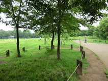 柏の宮公園
