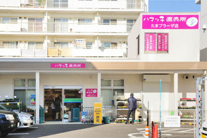ハマッ子直売所 たまプラーザ店の画像1
