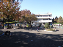 板橋公園