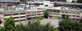 北前野小学校