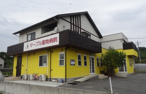 マーブル動物病院情報ページ 東広島市 竹原市の賃貸物件はハウスメイト東広島店