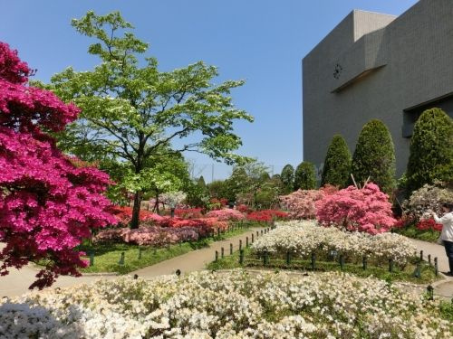 平成つつじ公園の画像