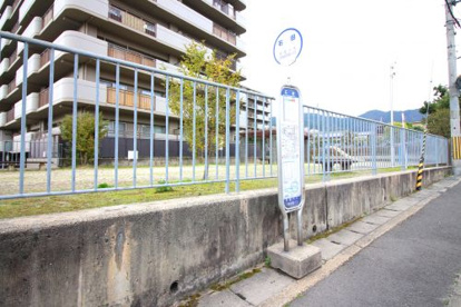 石田停（京阪バス）の画像2
