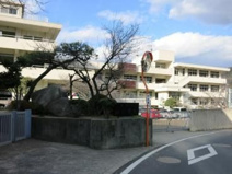 坂小学校