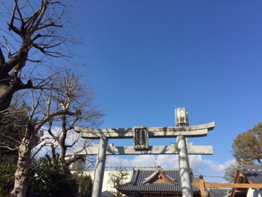 須佐之男命神社の画像2