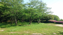  戸坂新町公園