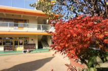 保育所ひかり学園