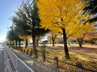 葛野児童公園の画像1