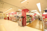 ザ・ダイソーマルエツかまた店