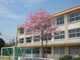前橋市立若宮小学校の画像