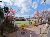 本町さくら公園