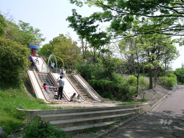 二ノ切池公園の画像1