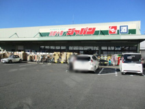 ジャパン京都十条店