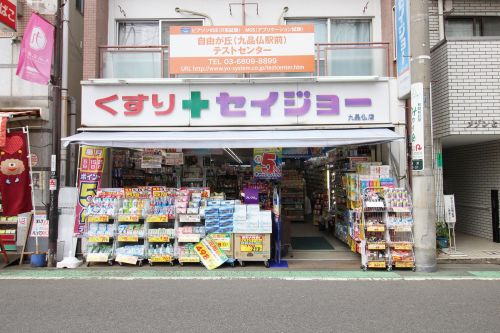 くすりセイジョー九品仏店情報ページ 品川区 目黒区の中古マンション情報は株式会社vecs