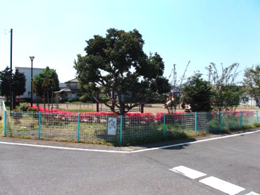 下り松西部公園の画像2