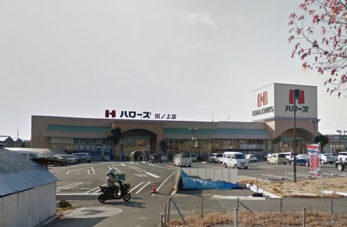 ハローズ 田ノ上店情報ページ 株式会社creva