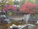 皿池公園