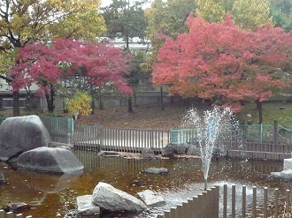 皿池公園の画像1