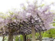 鷺洲上公園の画像