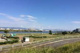 淀川河川公園太子橋地区の画像