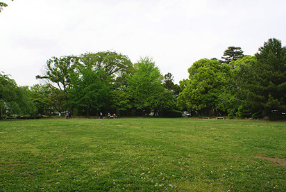 緑の森公園の画像1