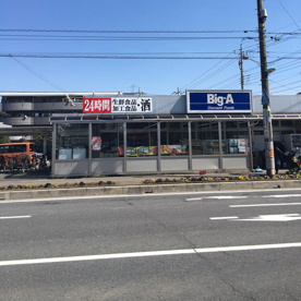 ビッグ・エー 三郷駅前店の画像1