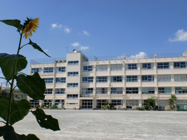 太子堂中学校の画像1