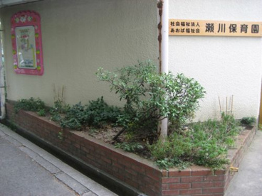瀬川保育園の画像1