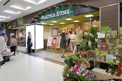 ピーコックストア 千里中央店の画像1