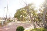 平野公園