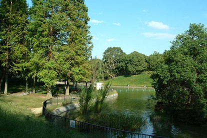 千里南町公園の画像1