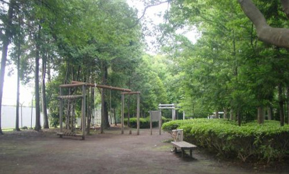  大和冒険の森フィールドアスレチックの画像1