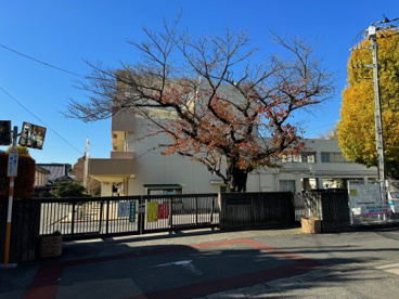 さいたま市立岩槻小学校の画像1