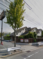 ヒッコリー本店