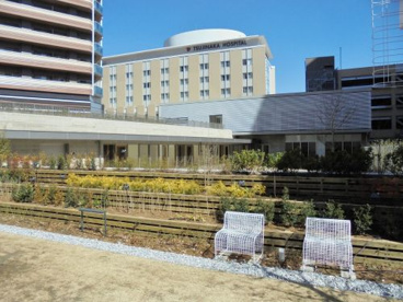 かしわのはさくらさく保育園の画像2
