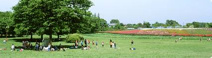 小金井公園