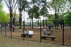 小金井公園の画像2