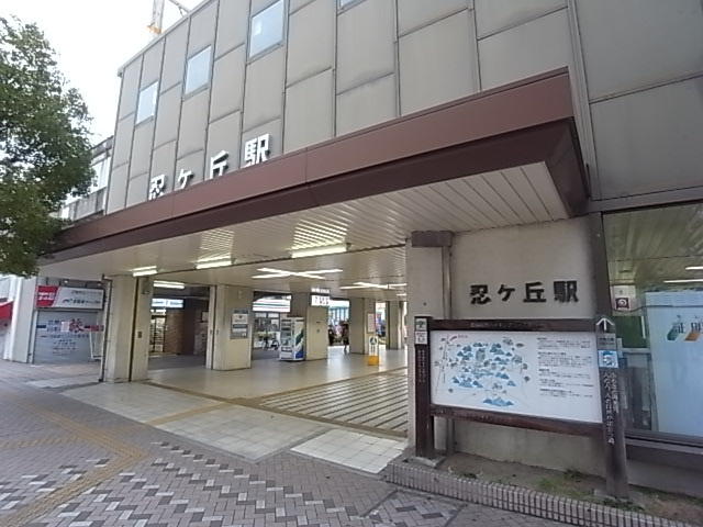 の画像