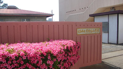 引地台小学校の画像1