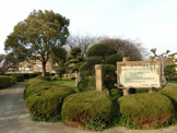 大和田新田樹木見本園