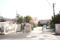 縄手南小学校