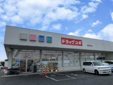 ドラッグスギ高崎日高店