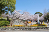日岡山公園