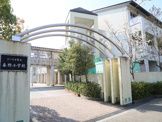 春野小学校