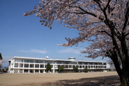休泊小学校の画像1