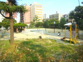 真田山公園