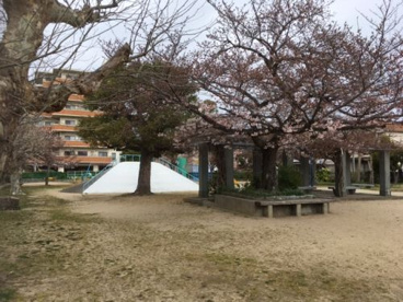 西新町1丁目公園の画像1