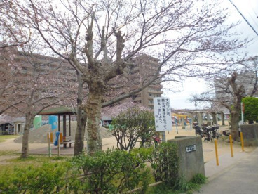 船上東公園の画像2