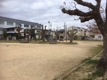 大道公園の画像1